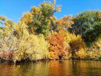 Trees by lake against sky during autumn