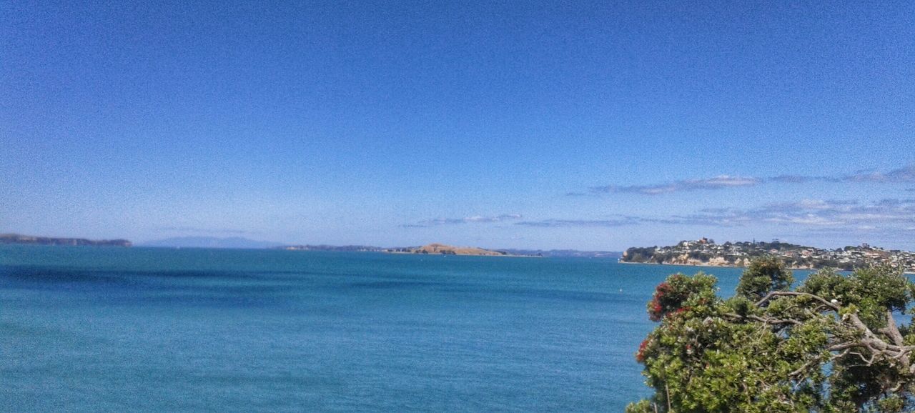 sea, water, blue, horizon over water, tranquil scene, scenics, tranquility, beauty in nature, copy space, nature, clear sky, sky, idyllic, seascape, coastline, beach, tree, waterfront, ocean, outdoors