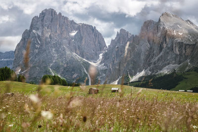 Scenic view of a madow with cabin and mountains against sky