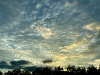 Low angle view of silhouette trees against dramatic sky