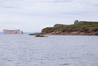 The famous percé rock and the bonaventure island surrounded by cormorants, seagulls and grey seals