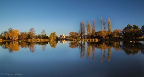 Reflection of trees in lake against clear sky