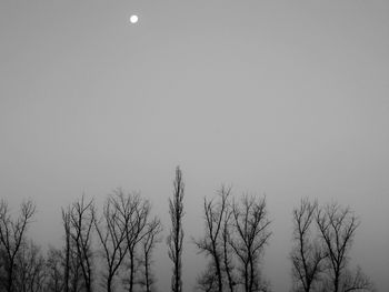 Low angle view of bare trees