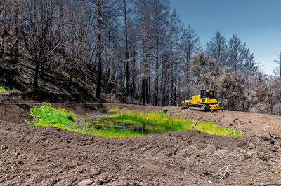 Bulldozer clears area in forest around reservoir.