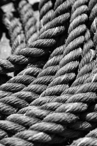 Detail shot of ropes