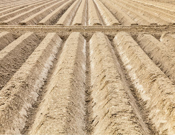 Full frame shot of agricultural field