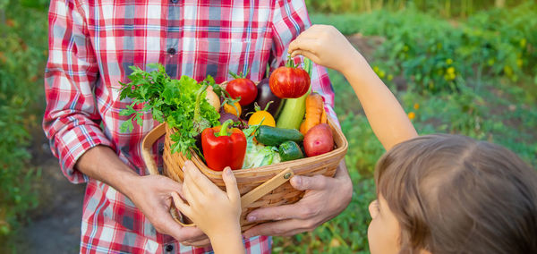 Midsection of woman holding food