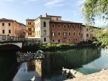 Arch bridge over river by buildings against sky