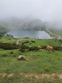 Scenic view of  the lake against sky