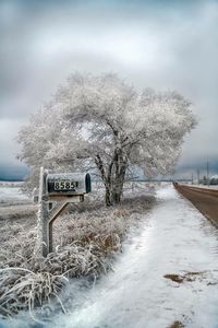 Snow covered landscape against sky