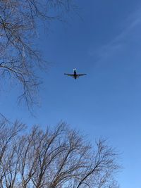 Low angle view of airplane flying in sky