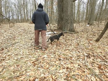 Full length of a dog in the forest