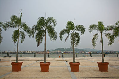 Scenic view of beach against clear sky