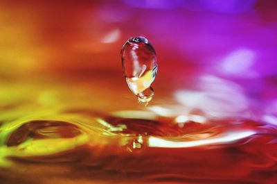 Close-up of water drop