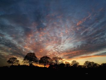 Silhouette trees against dramatic sky