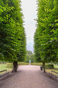 Footpath amidst trees in park against sky