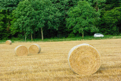 Hay bales in field