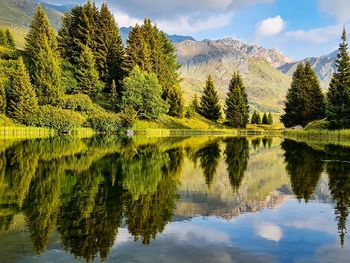 Scenic view of lake by trees against sky