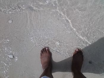 Low section of man standing on beach