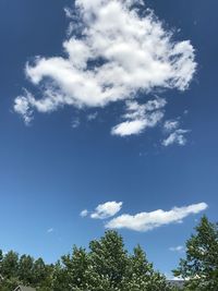 Low angle view of trees against blue sky