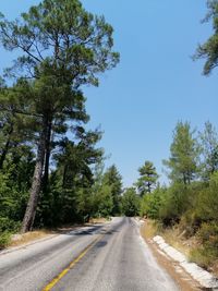 Road amidst trees against sky