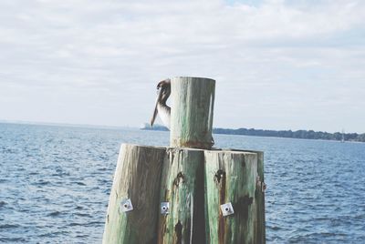 Wooden post by sea against sky