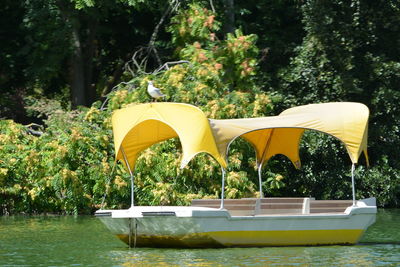 Boat in lake against trees in forest