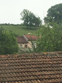 House with trees in background