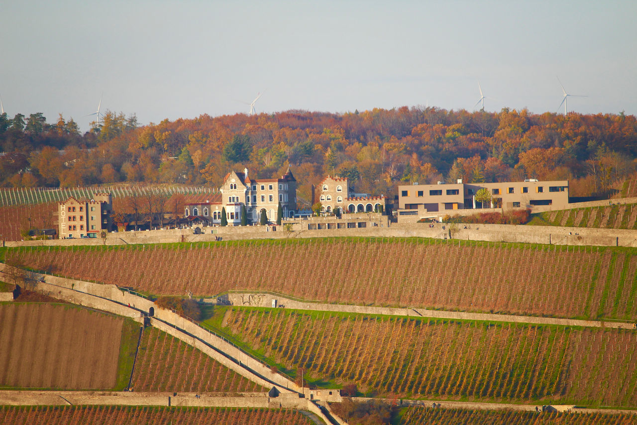 HOUSES ON FIELD AGAINST BUILDINGS