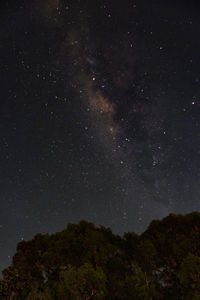 Low angle view of star field against sky at night