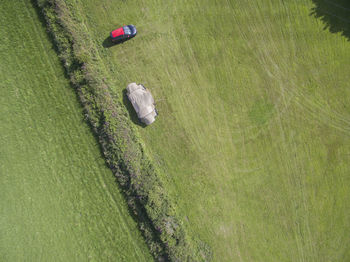 High angle view of golf ball on field