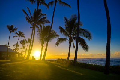 Palm trees by sea against sky during sunset