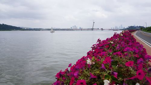 Scenic view of sea against cloudy sky