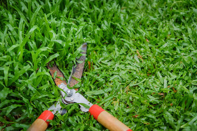 High angle view of hedge clippers on grassy field