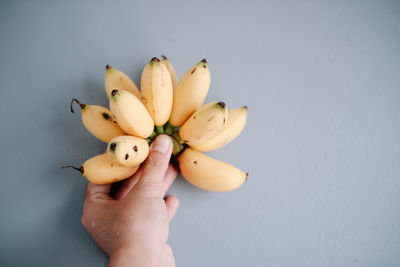 Close-up of hand holding fruit against white background