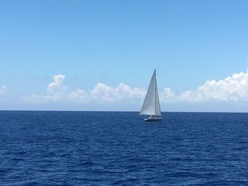 Sailboat sailing on sea against sky