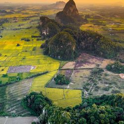 High angle view of agricultural field