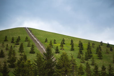 Scenic view of green landscape against sky