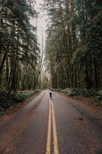 Rear view of person walking on road in forest