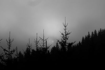 Silhouette of trees against sky