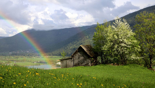 Scenic view of rainbow over landscape