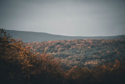 Scenic view of landscape against sky during autumn