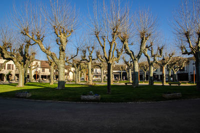 Trees and houses against sky in city