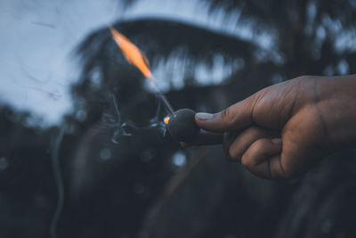 Close-up of hand holding fire