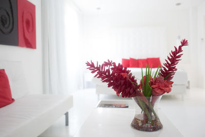 Close up of red flowers