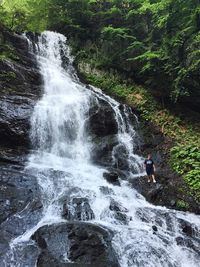 Scenic view of waterfall