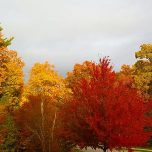 Silhouette of trees against sky during autumn