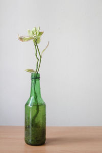 Close-up of drink on table against wall