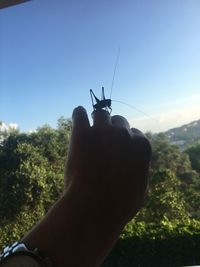 Midsection of person holding plant against sky