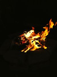 Close-up of bonfire at night